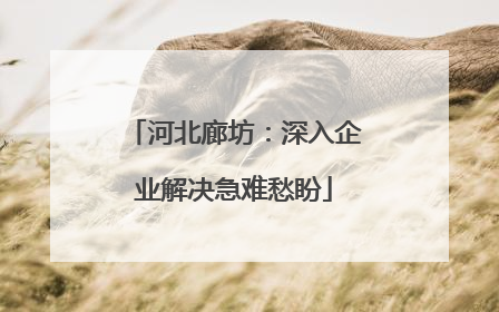 河北廊坊：深入企业解决急难愁盼