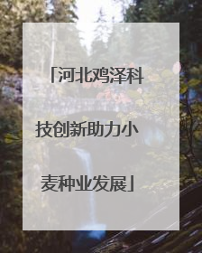 河北鸡泽科技创新助力小麦种业发展