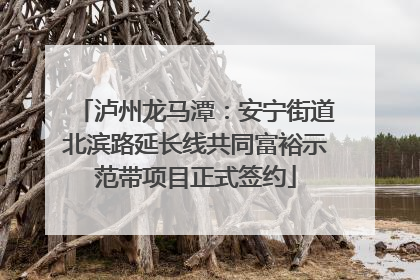 泸州龙马潭：安宁街道北滨路延长线共同富裕示范带项目正式签约