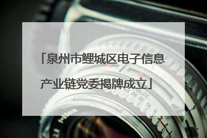 泉州市鲤城区电子信息产业链党委揭牌成立