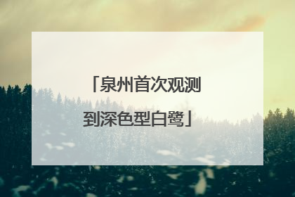 泉州首次观测到深色型白鹭