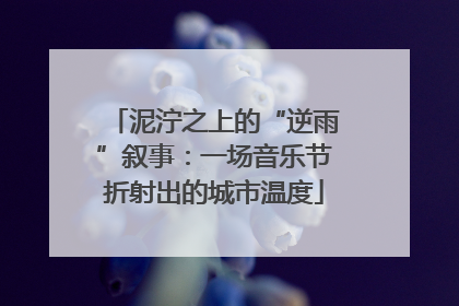 泥泞之上的“逆雨”叙事：一场音乐节折射出的城市温度