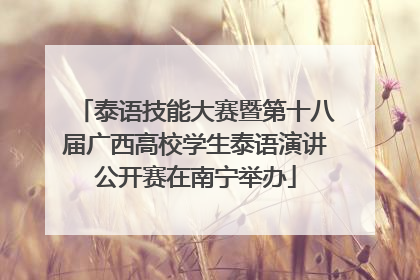 泰语技能大赛暨第十八届广西高校学生泰语演讲公开赛在南宁举办