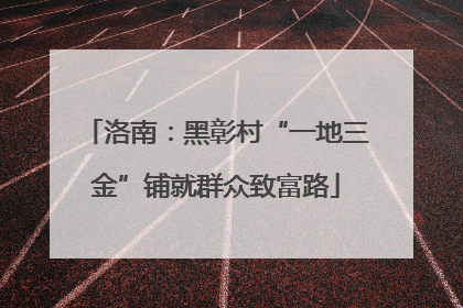 洛南：黑彰村“一地三金”铺就群众致富路