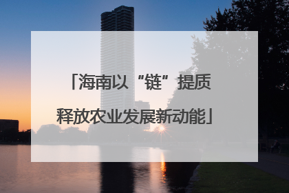 海南以“链”提质 释放农业发展新动能