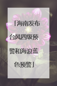 海南发布台风四级预警和海浪蓝色预警