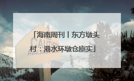 海南周刊丨东方墩头村：港水环墩仓廪实