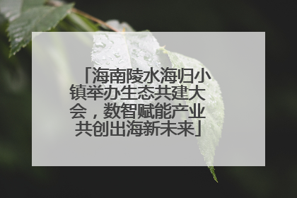 海南陵水海归小镇举办生态共建大会，数智赋能产业共创出海新未来