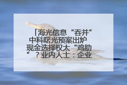 海光信息“吞并”中科曙光预案出炉 现金选择权太“鸡肋”？业内人士：企业不想大量现金流出