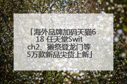 海外品牌加码天猫618 任天堂Switch2、獭祭登龙门等5万款新品尖货上新