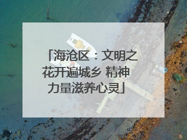 海沧区：文明之花开遍城乡 精神力量滋养心灵