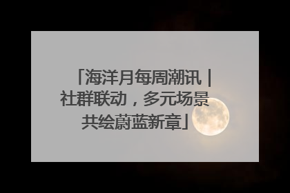 海洋月每周潮讯｜社群联动，多元场景共绘蔚蓝新章