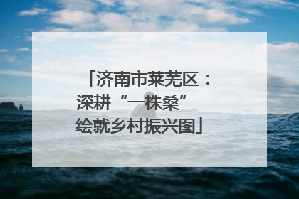 济南市莱芜区：深耕“一株桑” 绘就乡村振兴图