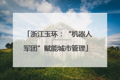 浙江玉环：“机器人军团”赋能城市管理