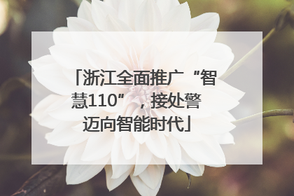 浙江全面推广“智慧110”，接处警迈向智能时代