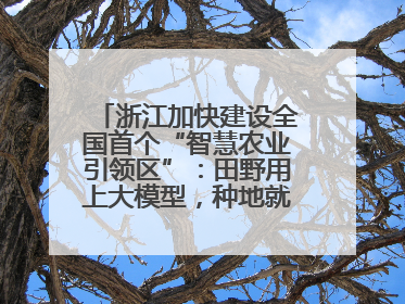 浙江加快建设全国首个“智慧农业引领区”：田野用上大模型，种地就是不一样