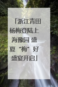 浙江青田杨梅登陆上海豫园 盛夏“梅”好盛宴开启