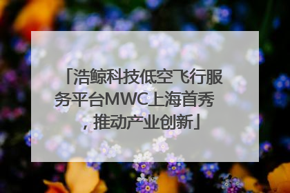 浩鲸科技低空飞行服务平台MWC上海首秀，推动产业创新