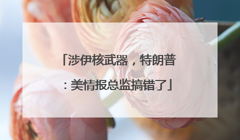 涉伊核武器，特朗普：美情报总监搞错了