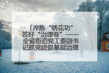 淬炼“绣花功” 答好“治理卷”——全省街道党工委副书记抓党建促基层治理培训示范班侧记