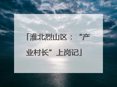 淮北烈山区：“产业村长”上岗记