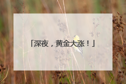 深夜，黄金大涨！