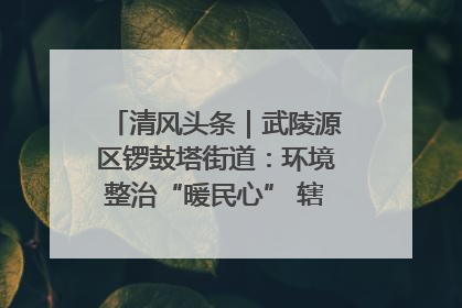 清风头条｜武陵源区锣鼓塔街道：环境整治“暖民心” 辖区面貌“靓”起来