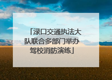 渌口交通执法大队联合多部门举办驾校消防演练