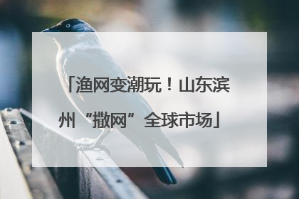 渔网变潮玩！山东滨州“撒网”全球市场