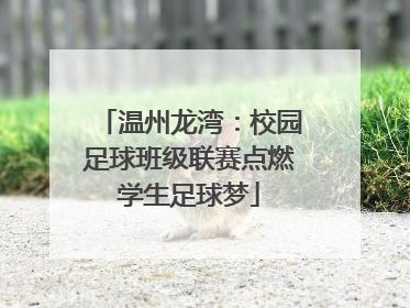 温州龙湾：校园足球班级联赛点燃学生足球梦