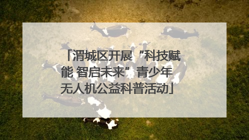 渭城区开展“科技赋能 智启未来”青少年无人机公益科普活动