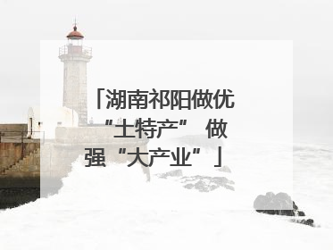 湖南祁阳做优“土特产” 做强“大产业”