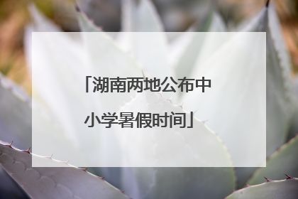 湖南两地公布中小学暑假时间