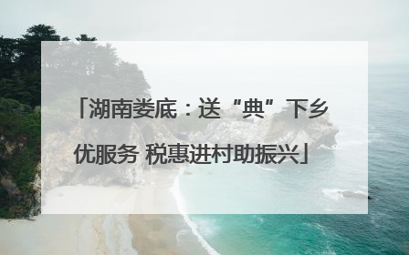 湖南娄底：送“典”下乡优服务 税惠进村助振兴