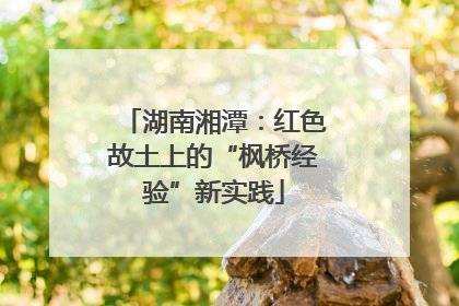 湖南湘潭：红色故土上的“枫桥经验”新实践