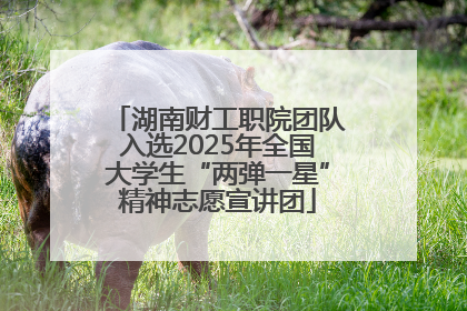 湖南财工职院团队入选2025年全国大学生“两弹一星”精神志愿宣讲团