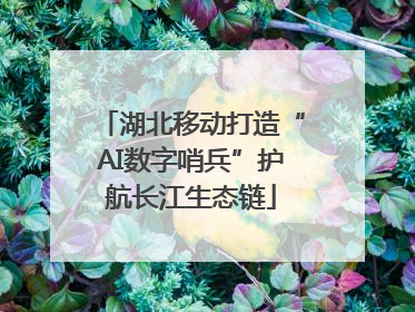 湖北移动打造“AI数字哨兵”护航长江生态链
