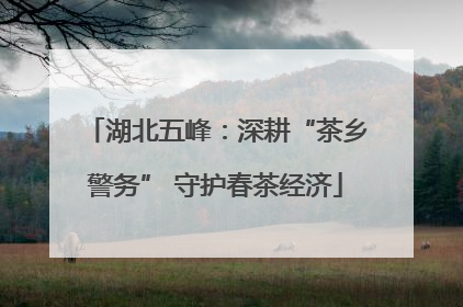 湖北五峰：深耕“茶乡警务” 守护春茶经济