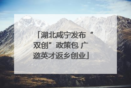 湖北咸宁发布“双创”政策包 广邀英才返乡创业
