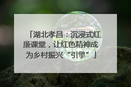 湖北孝昌：沉浸式红廉课堂，让红色精神成为乡村振兴“引擎”