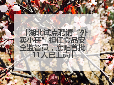 湖北试点聘请“外卖小哥”担任食品安全监督员，襄阳首批11人已上岗