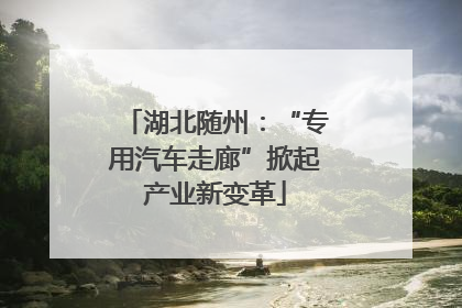 湖北随州：“专用汽车走廊”掀起产业新变革