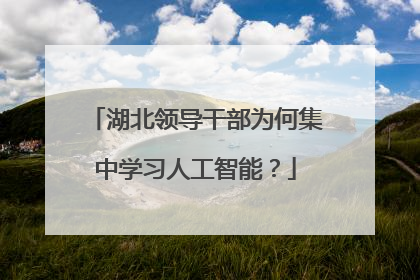 湖北领导干部为何集中学习人工智能？