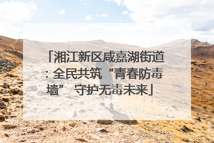 湘江新区咸嘉湖街道：全民共筑“青春防毒墙” 守护无毒未来