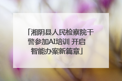 湘阴县人民检察院干警参加AI培训 开启智能办案新篇章