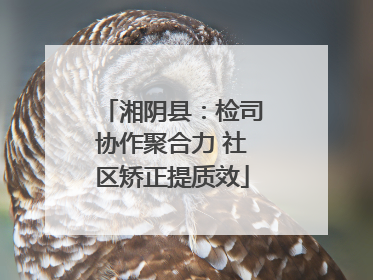 湘阴县：检司协作聚合力 社区矫正提质效