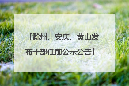 滁州、安庆、黄山发布干部任前公示公告