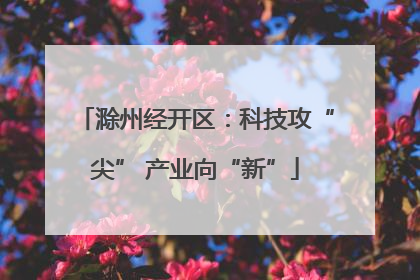 滁州经开区：科技攻“尖” 产业向“新”