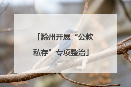 滁州开展“公款私存”专项整治