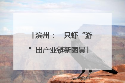 滨州：一只虾“游”出产业链新图景